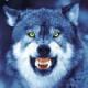 Awatar wolfheart
