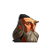 Jadowitek