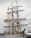 Awatar MSGdynia